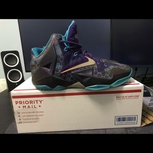 Nike Lebron 11 Hornets Men Size 10